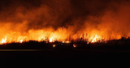 Incendies à Los Angeles : «Nous assistons à un basculement important dans la saisonnalité des feux»