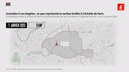 Incendies à Los Angeles : que représenteraient les feux à l'échelle de Paris, Marseille, Lyon ?