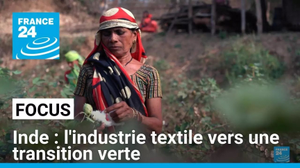 Inde : l'industrie textile vers une transition verte • FRANCE 24