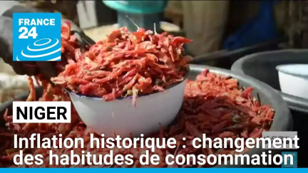 Inflation historique au Niger : la population change ses habitudes de consommation • FRANCE 24