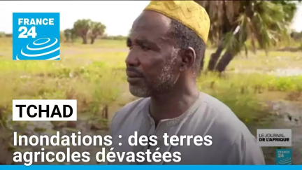 Inondations au Tchad : des terres agricoles dévastées • FRANCE 24