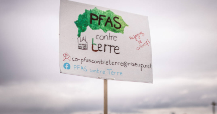 Interdiction des Pfas, impôt plancher sur la fortune, Sécurité sociale de l’alimentation… Les ambitions des écologistes pour leur niche parlementaire