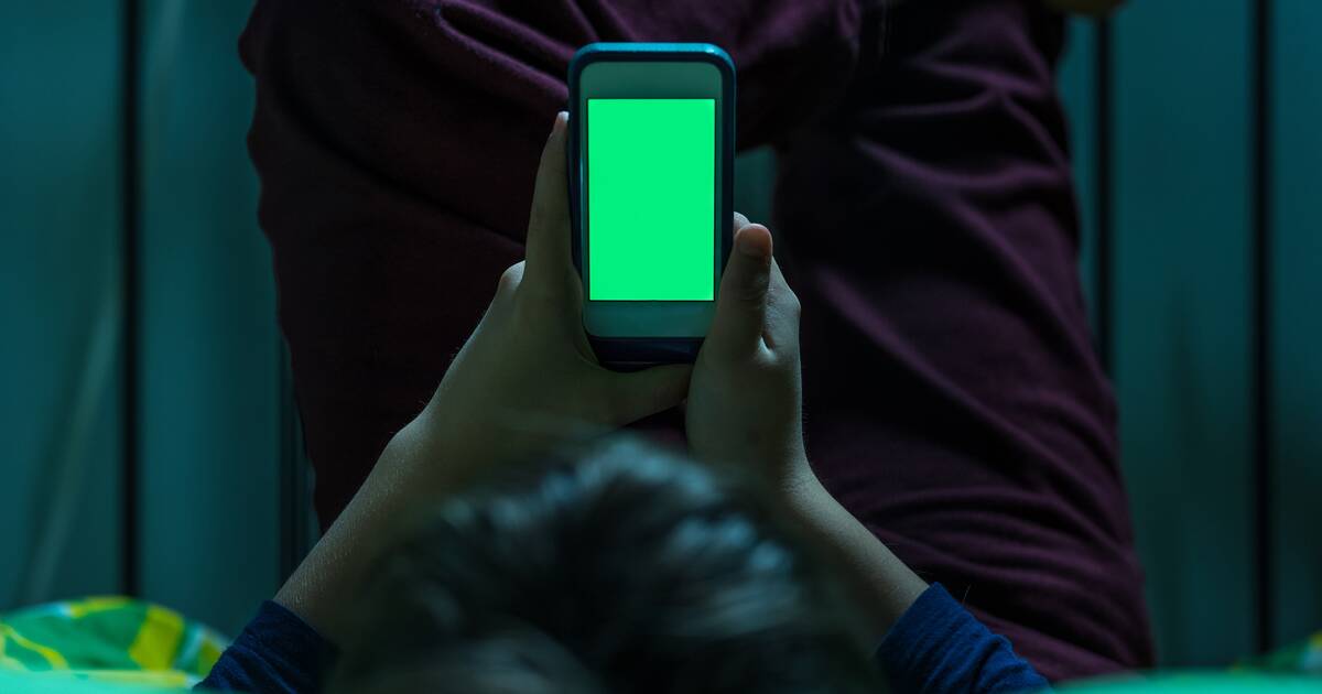 Interdire les réseaux sociaux aux jeunes, une mesure cohérente avec les études soulignant leurs dangers