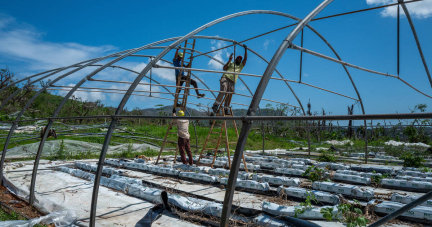 «J’ai vu mes serres s’envoler une par une devant moi» : à Mayotte, les agriculteurs face à une terre de désolation