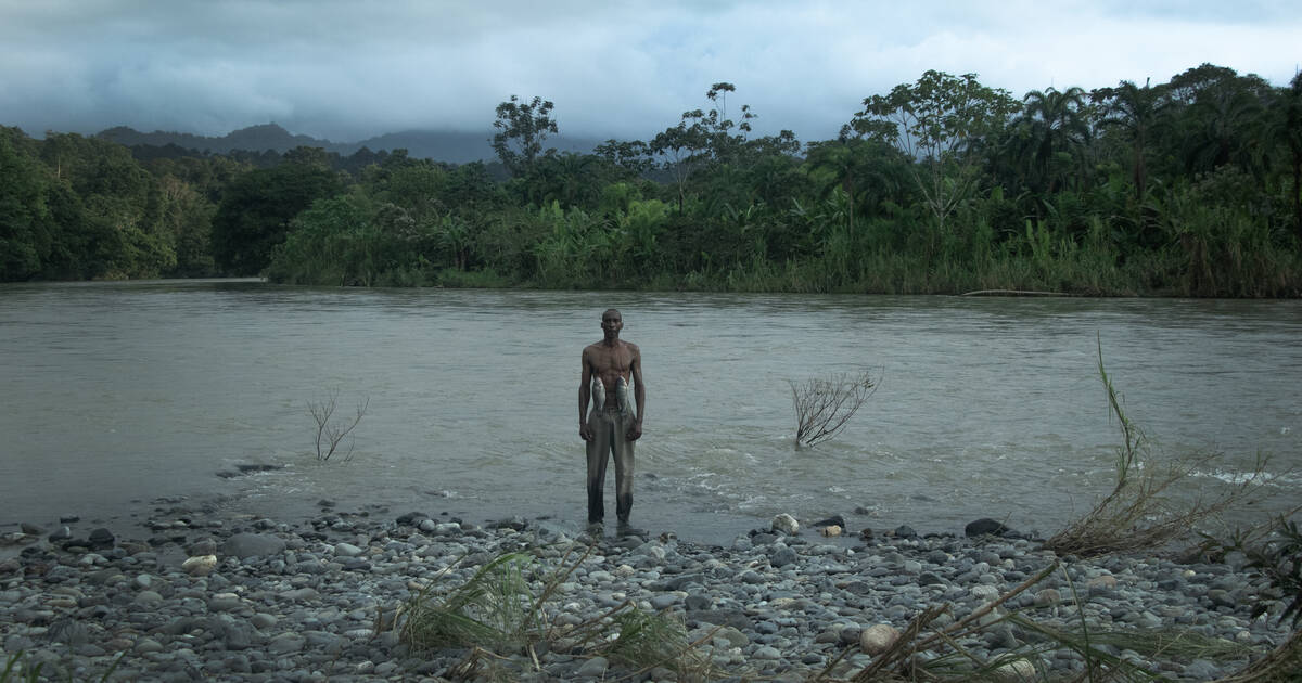 «J’ai vu trois lumières noires» : morts vibrants