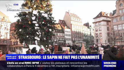 "Je ne suis pas conquise cette année": le mythique sapin de Noël de Strasbourg ne fait pas l'unanimité