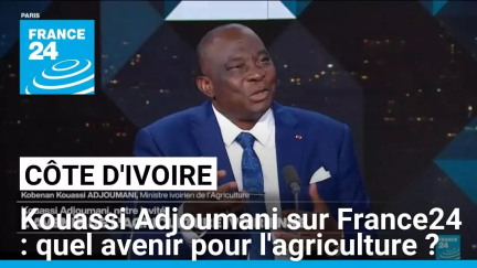 Kobenan Kouassi Adjoumani sur France 24 : quel avenir pour l'agriculture ivoirienne ? • FRANCE 24