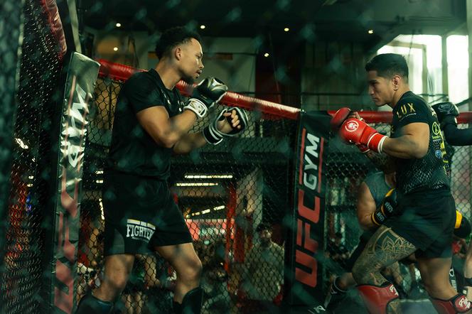 « La Cage » et « MMA Academy »: de la baston et des « bonhommes »