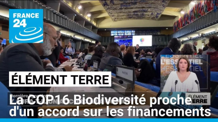 La COP 16 Biodiversité proche d'un accord sur le financement de la préservation de la Nature