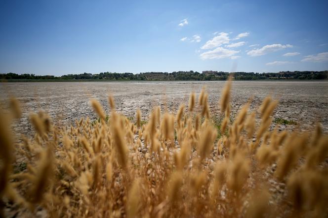 « La COP sur la désertification a pour mission de passer à des initiatives concrètes »