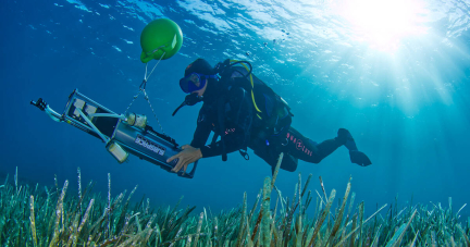 La faune marine de la Méditerranée révélée par son ADN – Libération