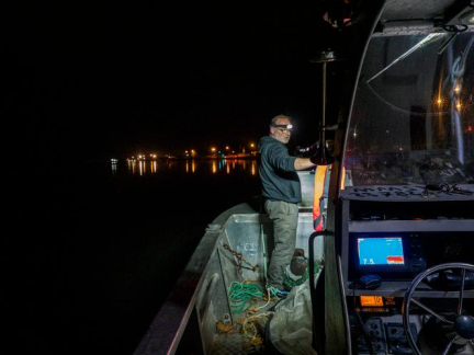 La justice veille sur les poissons migrateurs de la côte atlantique