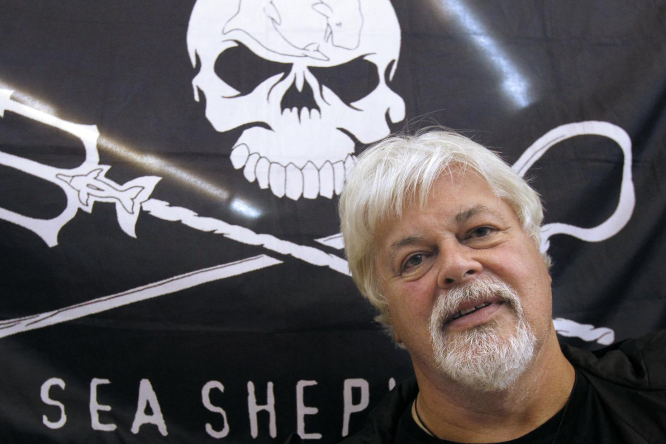 La méthode Paul Watson : « L’arme la plus puissante du monde, c’est la caméra »