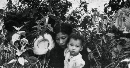 «Là où fleurissent les cendres» de Nguyên Phan Quê Mai lu par Valérie Wickers, dermatologue