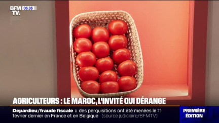 La présence du Maroc au Salon de l'agriculture critiquée par le monde agricole