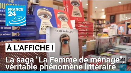 La saga "La Femme de ménage" véritable phénomène littéraire • FRANCE 24