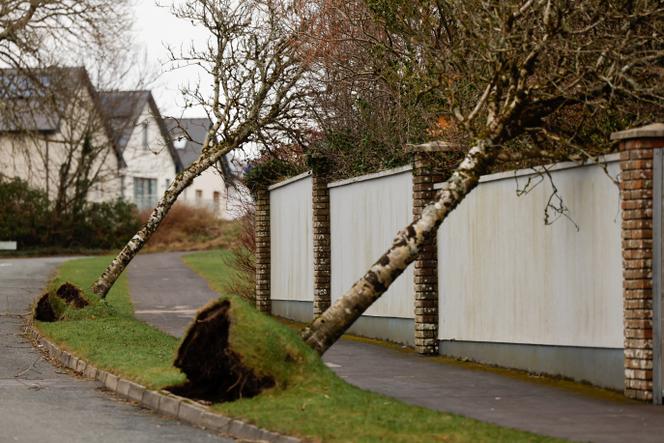 La tempête Eowyn, avec des vents à plus de 135 km/h, a balayé l’Irlande, la vigilance rouge levée