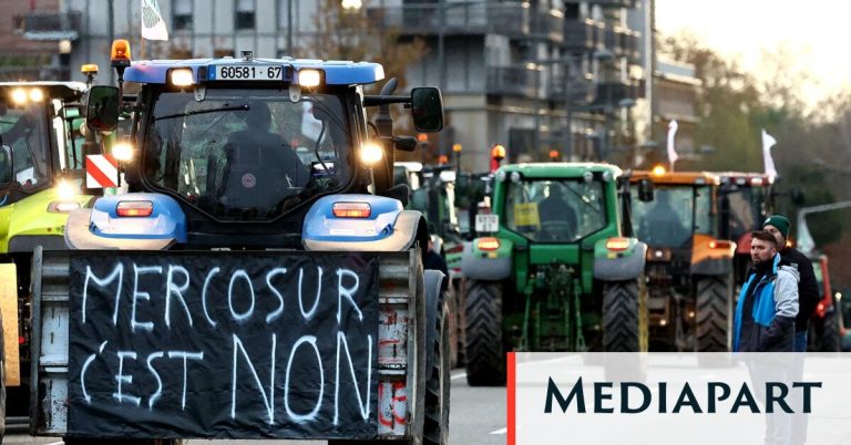 L'accord UE-Mercosur, un affront pour le monde agricole : « Ce traité livre en pâture les paysans »