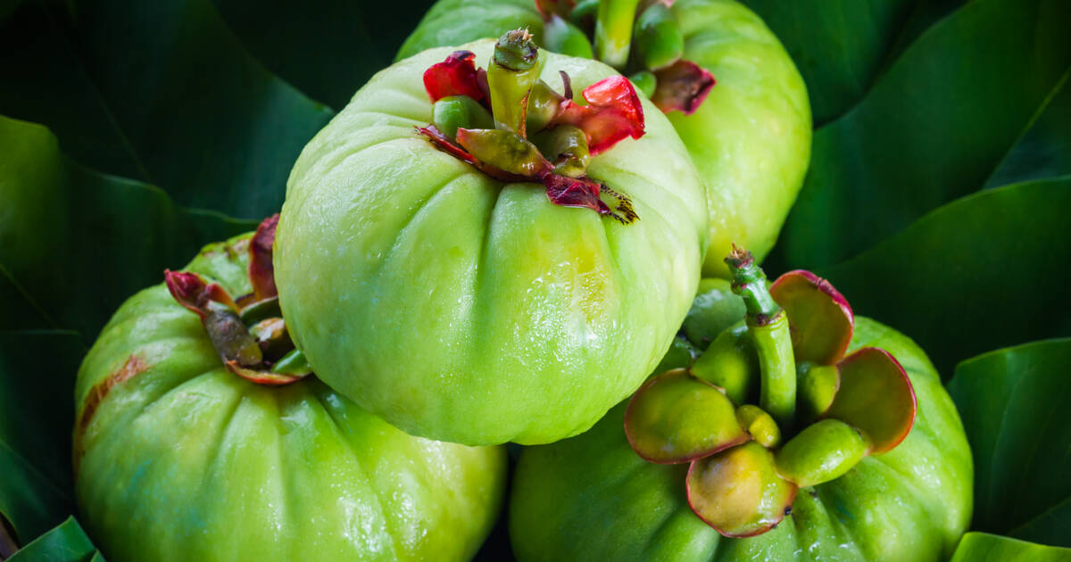 L’Anses alerte sur des compléments alimentaires dangereux élaborés à partir de plantes subtropicales