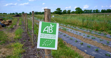 Le bio espère un rebond et un soutien du nouveau gouvernement