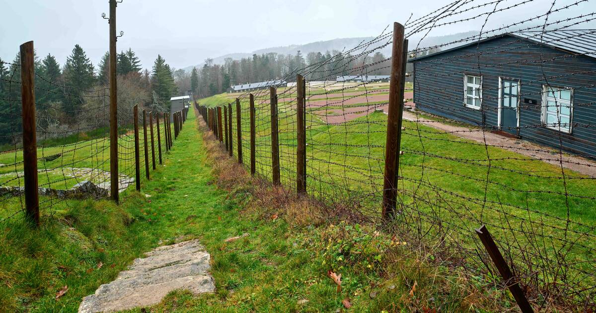 «Le camp du Struthof approvisionnait l’université de Strasbourg en être humains pour des expériences»