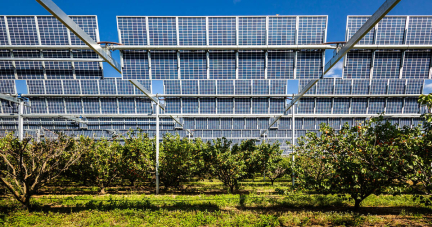 Le photovoltaïque au sol et la protection de la biodiversité ne sont pas incompatibles