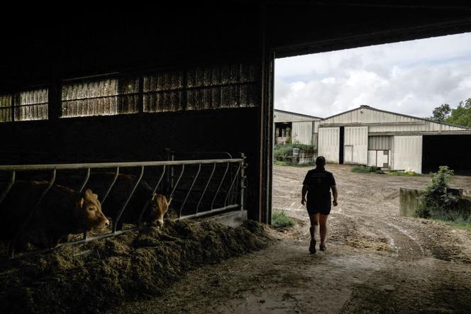 Le projet de loi d’orientation agricole arrive enfin au Sénat, après plusieurs mois d’attente et de reports