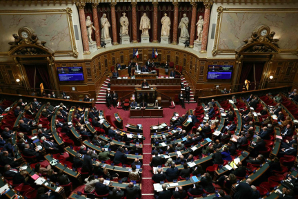 Le Sénat réduit le budget de l’aide médicale de l’Etat de 200 millions d’euros