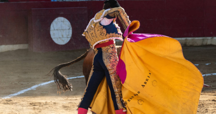 le Sénat rejette l’interdiction des spectacles de tauromachie pour les mineurs de moins de 16 ans – Libération