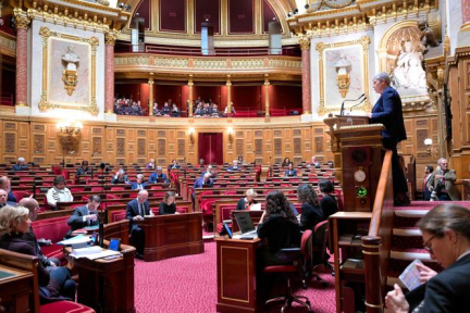 le Sénat vote deux rallonges pour la dépendance des personnes âgées ou handicapées