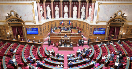 Le Sénat vote pour interdire le mariage aux étrangers en situation irrégulière, avec l’appui du gouvernement