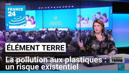 Le traité contre la pollution aux plastiques: essentiel mais compliqué à obtenir • FRANCE 24