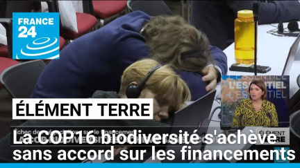 L'échec cuisant de la COP16 biodiversité consacre une fracture nord-sud • FRANCE 24