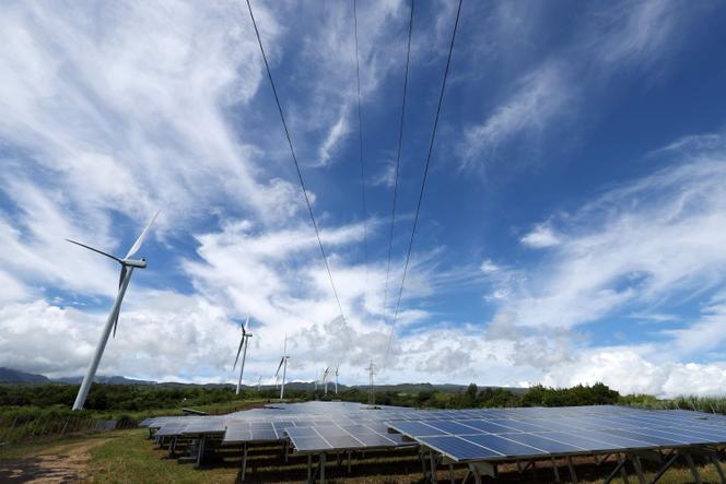 L’énergie solaire dépasse le charbon pour la première fois dans la production d’électricité de l’UE en 2024