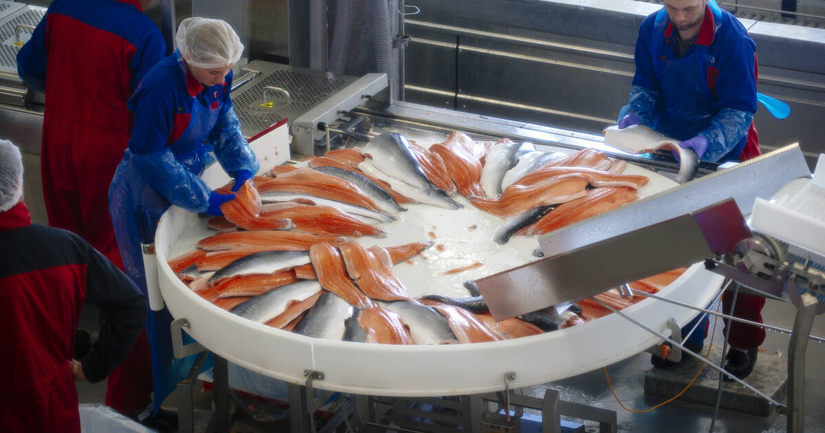 Les anti-saumon d’élevage à la pêche aux soutiens à l’Assemblée nationale