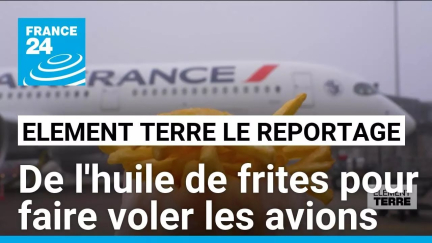 Les avionneurs utilisent l'huile de nos frites pour faire voler les avions • FRANCE 24