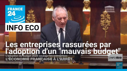 Les entreprises rassurées par l'adoption d'un "mauvais budget" • FRANCE 24