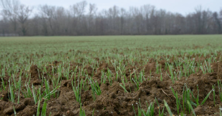 Les nappes phréatiques françaises plus remplies que l’année dernière à la sortie de l’hiver