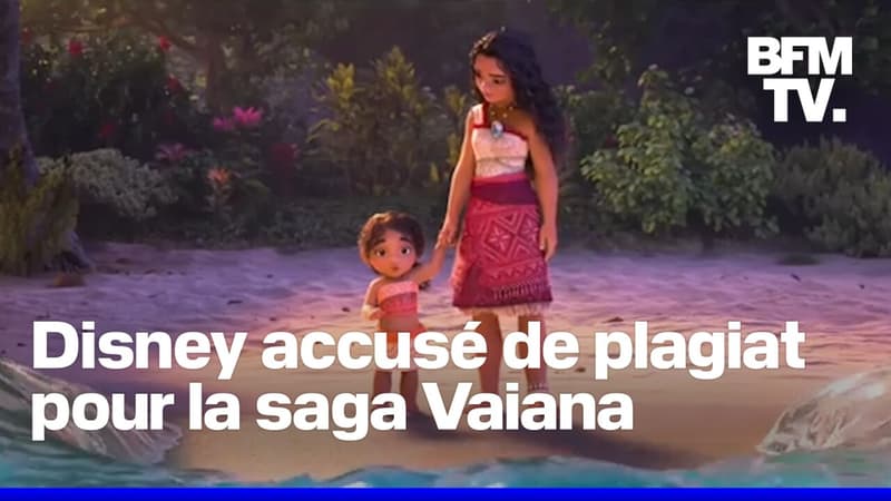 Les studios Disney accusés par un réalisateur d'avoir plagié leur saga "Vaiana"