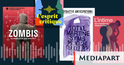 « L’esprit critique » arts plastiques : à l’intérieur des corps