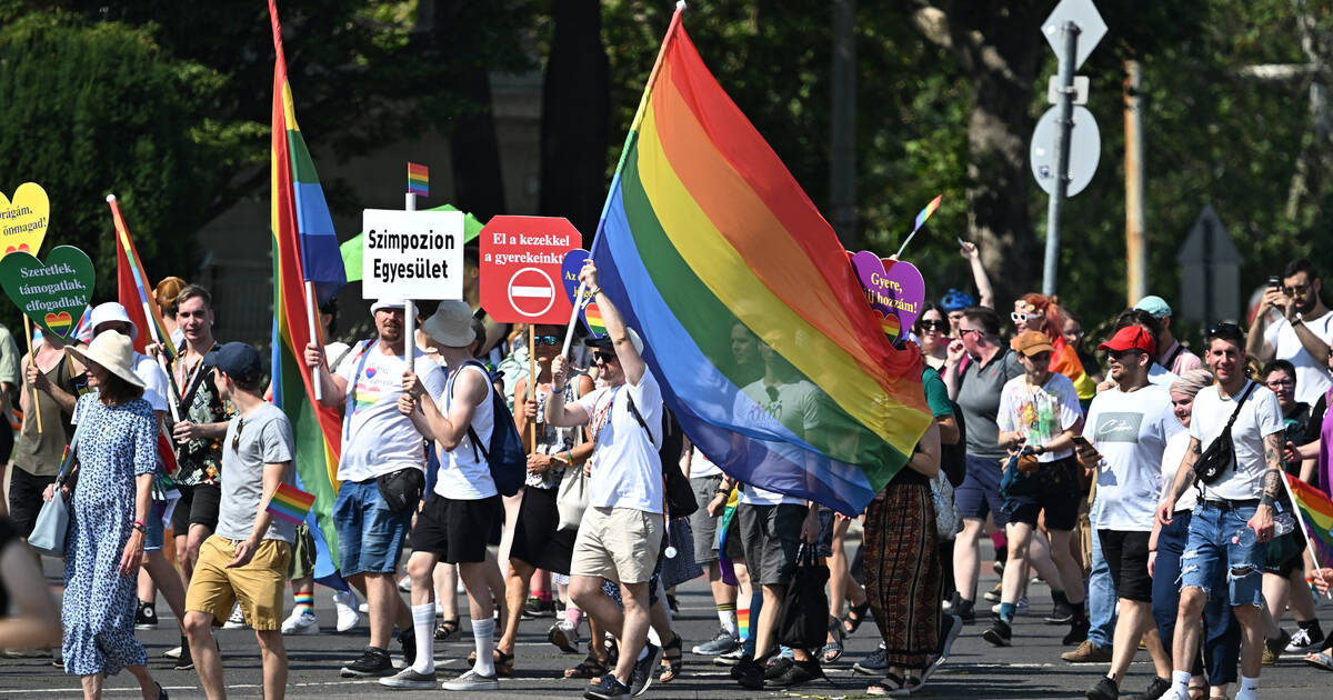 LGBTphobie en Hongrie : la coalition pro-Orban veut interdire la Pride