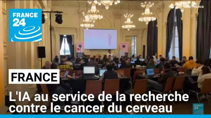 L'intelligence artificielle au service de la recherche contre le cancer du cerveau • FRANCE 24