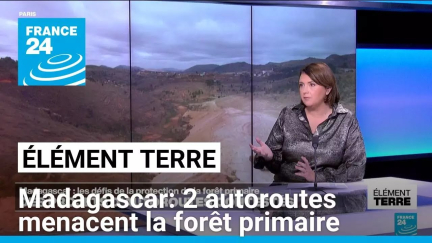 Madagascar: la construction de 2 autoroutes menace la forêt primaire • FRANCE 24