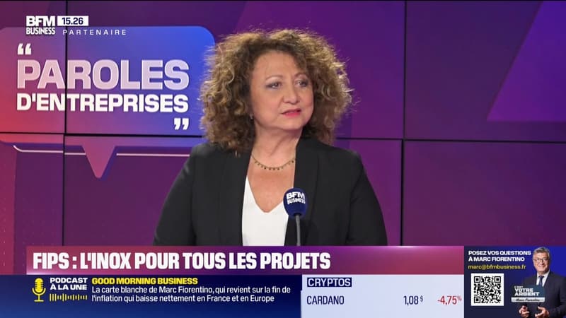 Marie-France Petrucci (FIPS) : FIPS : l'inox pour tous les projets - 18/01