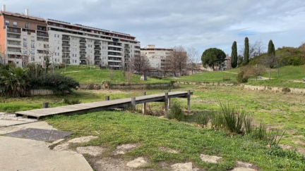 Marseille: le parc du 26e Centenaire va poursuivre sa rénovation pour redevenir un îlot de fraîcheur