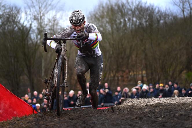 Mathieu van der Poel, impérial, poursuit sa moisson boueuse en cyclo-cross, à une semaine des Mondiaux en France