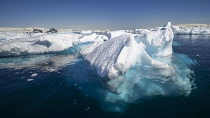 Melting Antarctic ice could slow world's strongest ocean current, study says