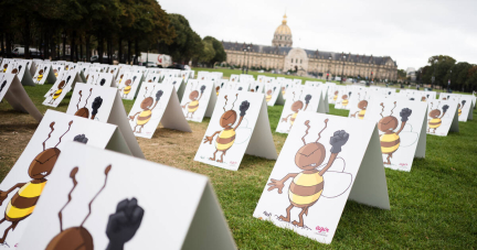 Néonicotinoïdes : le Sénat ouvre la porte à une réintroduction temporaire d’un pesticide interdit