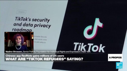 'Nonsensical' to single out one single app, expert says, as TikTok ban looms