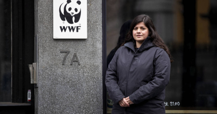 Norvège : le WWF perd son procès contre l’Etat sur l’extraction minière sous-marine